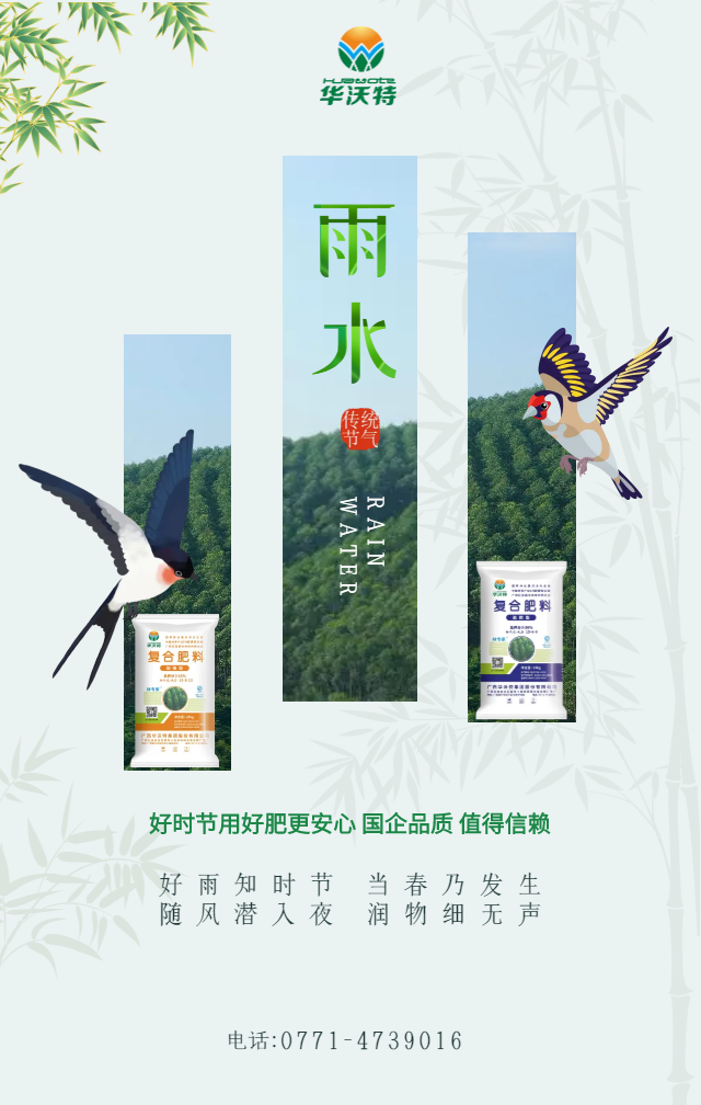 嚴(yán)選清新中國風(fēng)簡約雨水祝福海報 (1).png