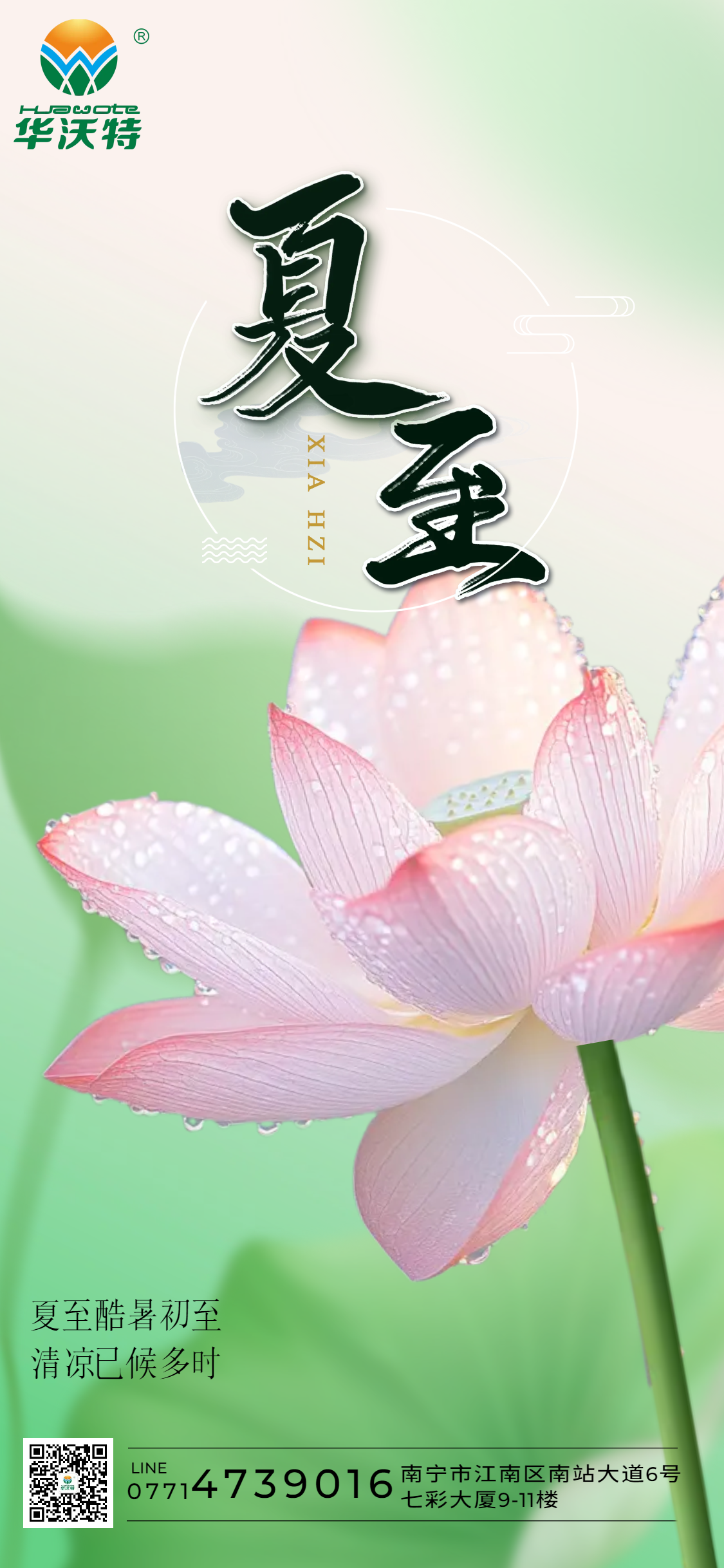 4夏至簡(jiǎn)約清新清透荷花24節(jié)氣宣傳祝福問候全屏海報(bào) (1).png