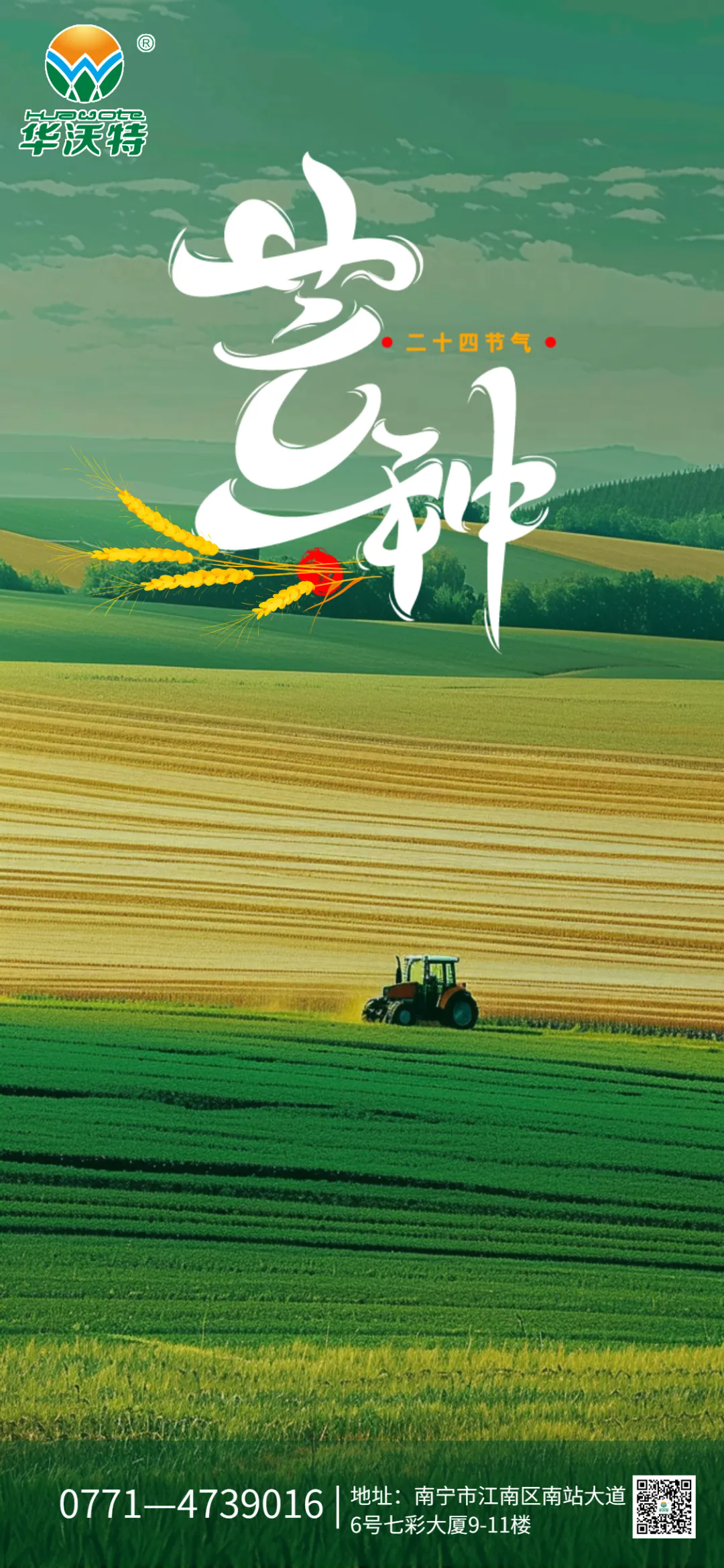 640.webp (2).png