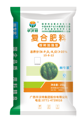 桉树加强型-林专家